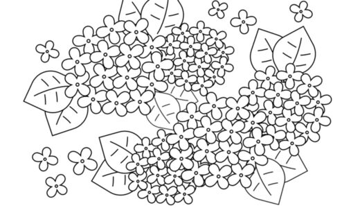 【塗り絵】紫陽花（あじさい）①