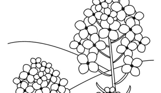 【塗り絵】菜の花①