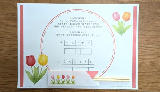 箸袋の展開図の使い方（折り方）